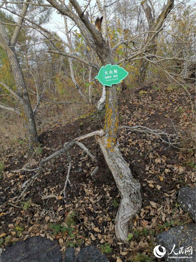 Прекрасные осенние пейзажи в туристической зоне Удаляньчи