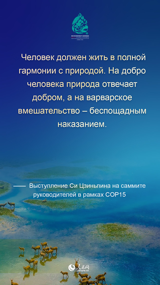 Си Цзиньпин призвал совместно начать новый поход на пути к высококачественному развитию человечества