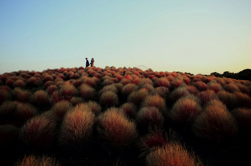 Лучшие фотографии  с конкурса National Geographic 2013 (36 Фото) (27)